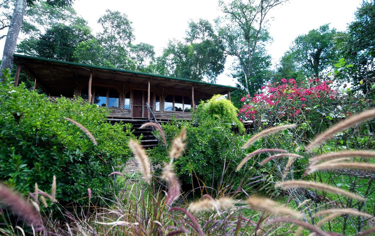 La Mision Mocona - Lodge De Selva Saltos del Moconá Quarto foto